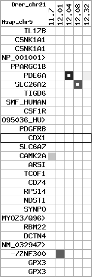 region5, score=1183