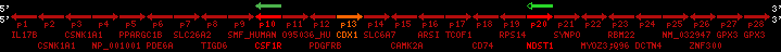 region7, score=991