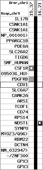 region7, score=991