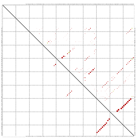 dotplot