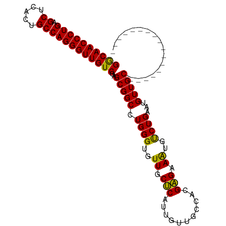 secondary structure