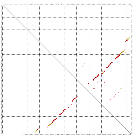 dotplot