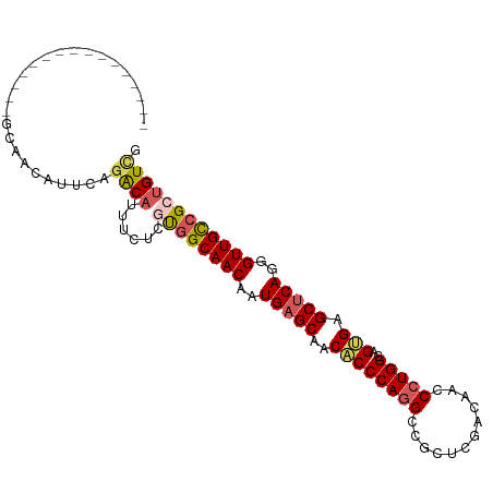 secondary structure