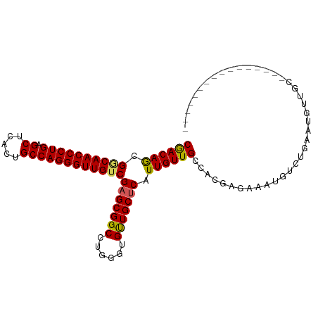 secondary structure