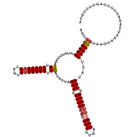 secondary structure