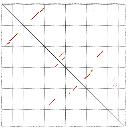dotplot