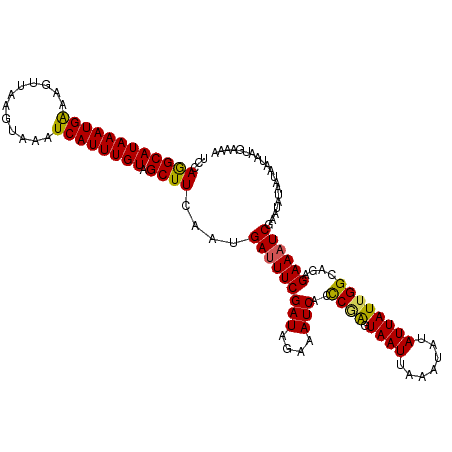 secondary structure