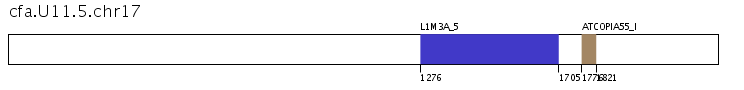 Click image for SVG version
