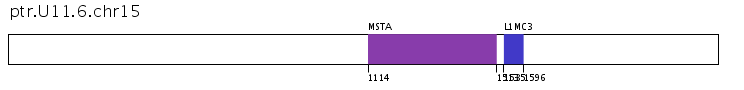 Click image for SVG version